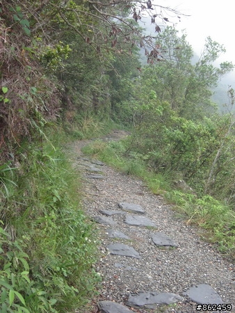 [11/8 跑馬古道影像分享)]11P完成越野,但有一點小遺憾