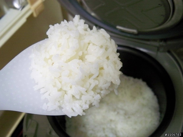 [開箱](11/2新增炊飯照片)日本三洋電機IH壓力炊飯器 ECJ-IK10