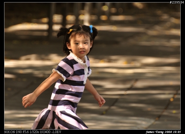 D90+70-300VR 第一次到手試拍