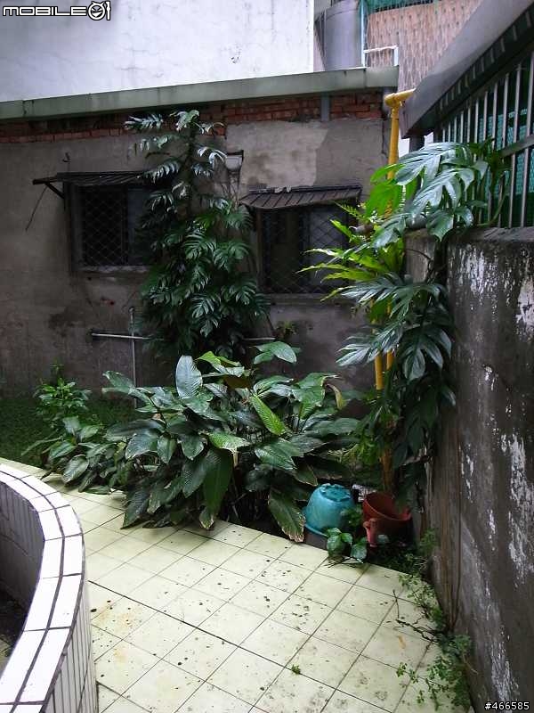 [請教] 這樣的花園該如何改造