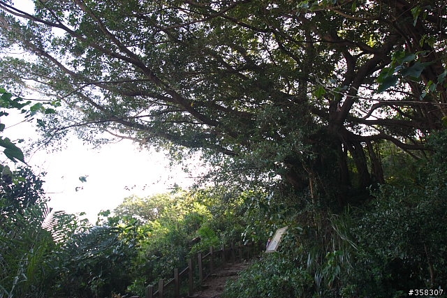 半屏山登山步道