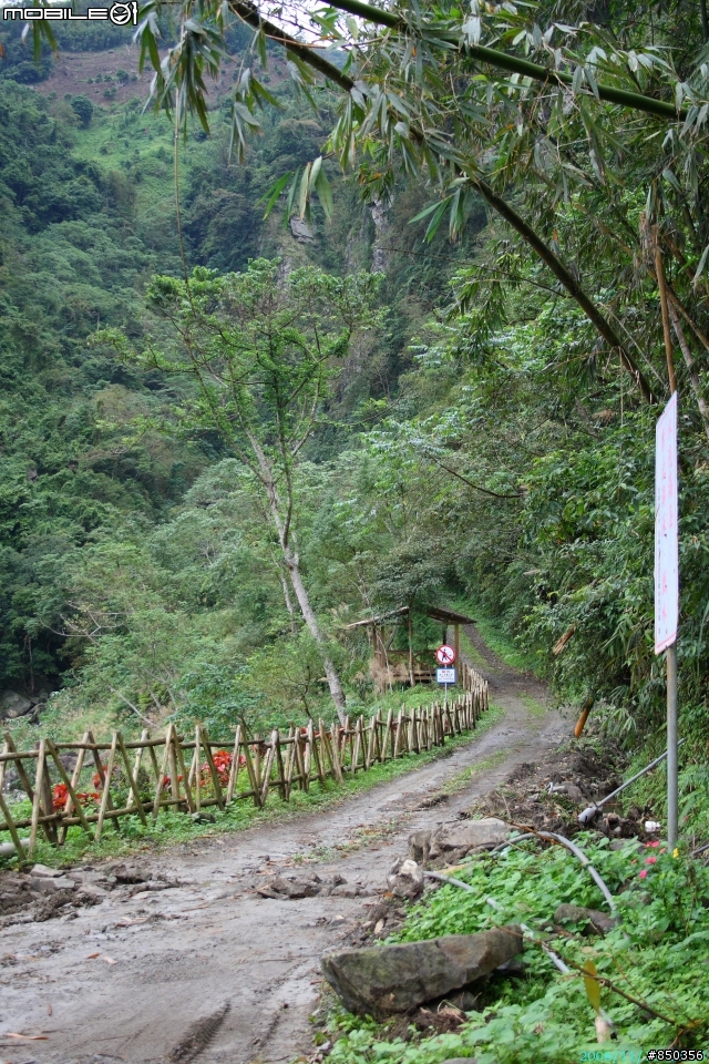 [出發前探路]2008.11.16 新竹縣五峰鄉和平部落鬼澤山+梅山 單車行前探路分享