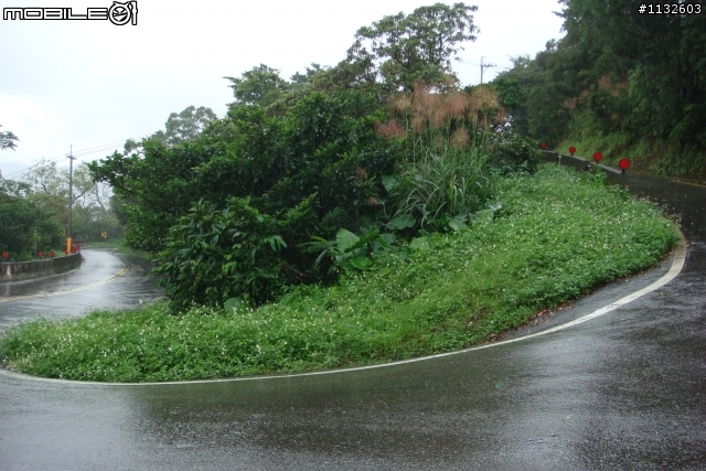 下大雨騎單車真的很危險 大家給點意見吧