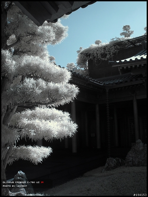 紅外線攝影....來蓋大樓