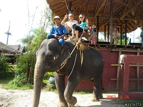 【分享】四人行的普吉島之旅~很享受喔~