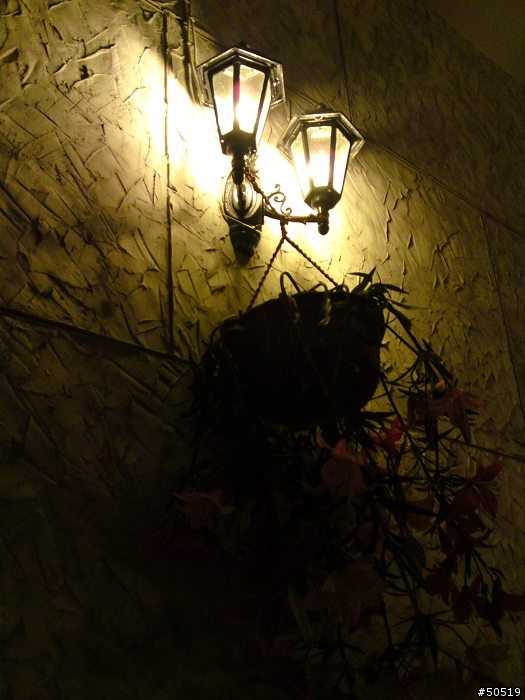 C905  上市來滿月隨拍~