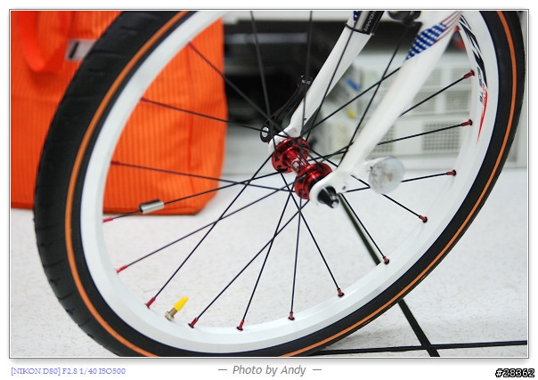 DAHON SP18心中惡魔再起之輪組改裝篇