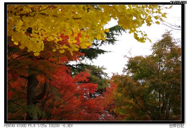 台勞日記-紅色黃色白色