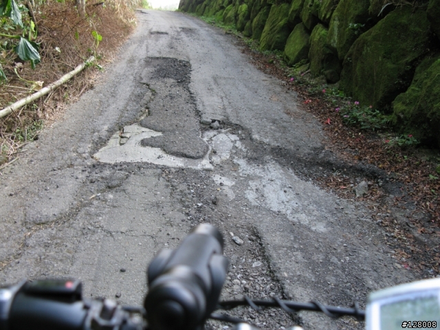 [遊記]阿里山公路支線之超神秘"二延平山"