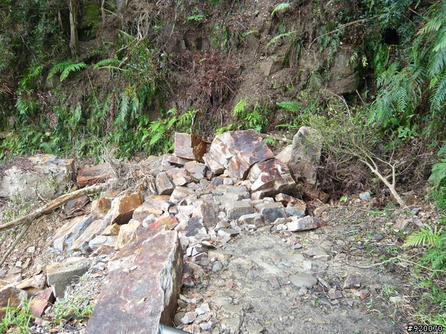 [11/8 跑馬古道影像分享)]11P完成越野,但有一點小遺憾