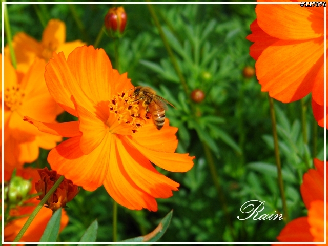 老機最後的掙扎!!