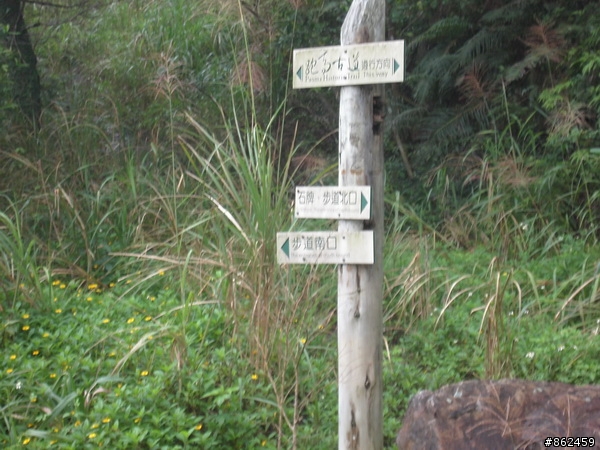 [11/8 跑馬古道影像分享)]11P完成越野,但有一點小遺憾