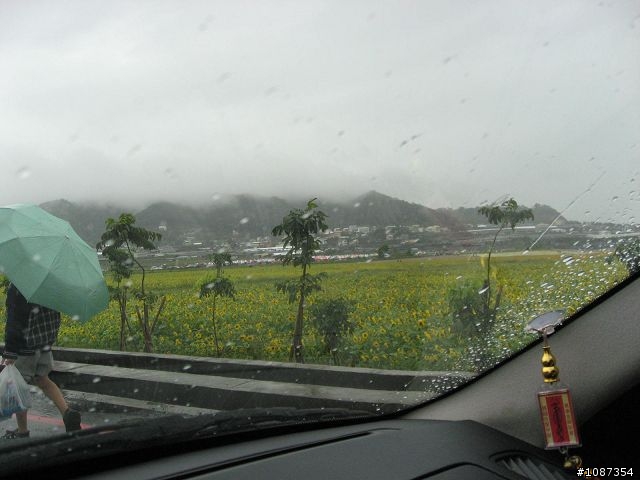 [分享]南台灣之旅-新社花海至308高地(圖多文少)