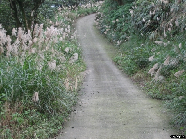 勇闖汐止最強地獄坡,風櫃嘴烘爐地.和這個不能比...汐平路--小坑路--鵠鵠崙路---四分尾山640M---勤進路--天道院--天秀宮--汐止市