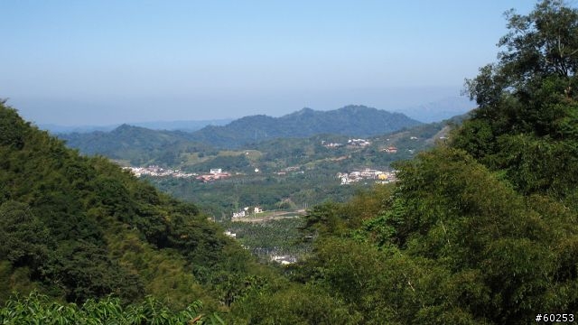 南投縣 鹿谷小半天→山豬湖產業道路→大崙山→羊彎→溪頭→鹿谷小半天