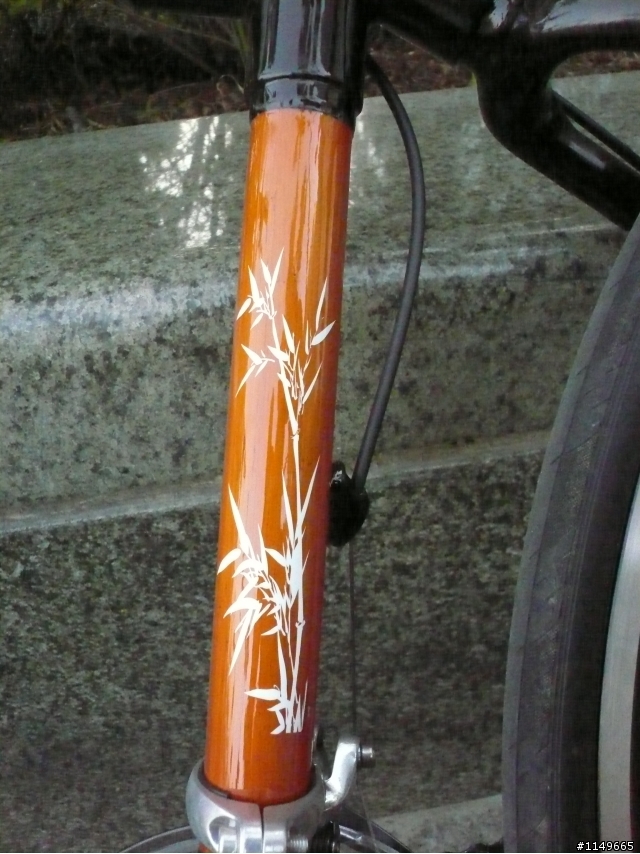 夢時代醫師公會出現概念車~竹子車架~