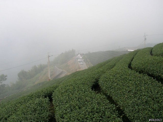 [推薦]除了雲林以外，推薦另一個騎車地點