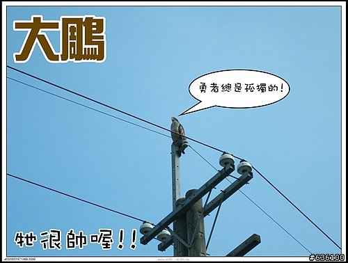 肉腳騎不上去用牽的福隆三貂角之旅