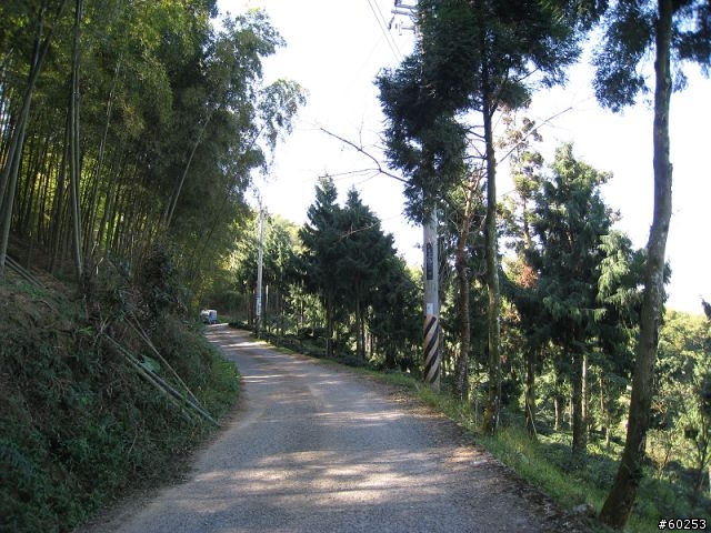 南投縣 鹿谷小半天→山豬湖產業道路→大崙山→羊彎→溪頭→鹿谷小半天
