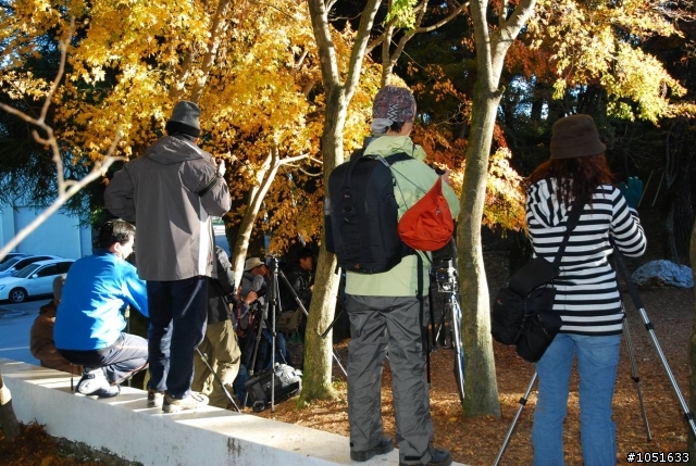 11/28福壽山賞楓之旅