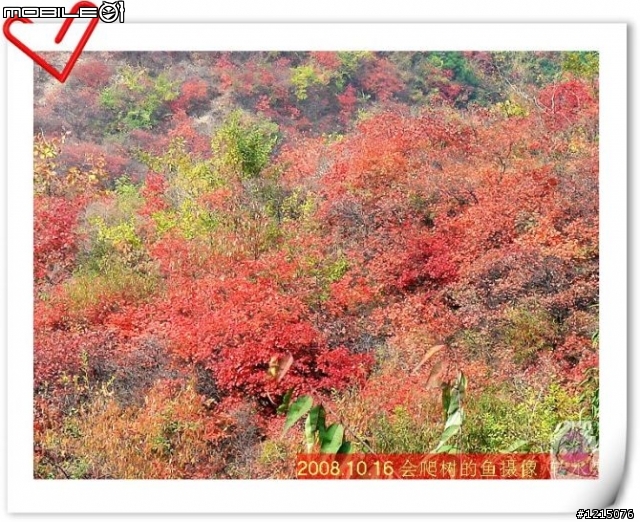大家好，我是新来的！
