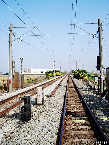 嘰嘰叫! = 單速淑女車  上古坑喝咖啡 = (圖多)