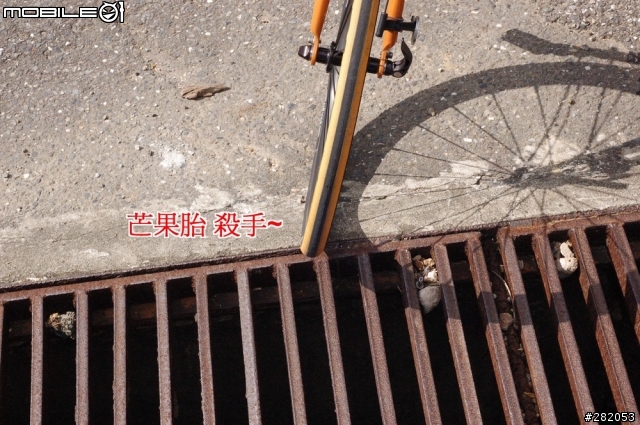 五指山上的國軍示範公萬內~下坡時..芒果胎要留意