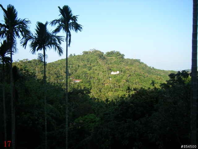 霧峰鄉山林縱騎-桐林-南坑-峰谷-九九峰-象鼻坑