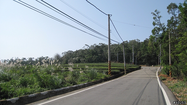 苗栗縣 銅鑼九湖自行車道