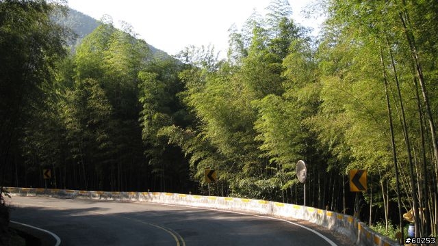 南投縣 鹿谷小半天→山豬湖產業道路→大崙山→羊彎→溪頭→鹿谷小半天