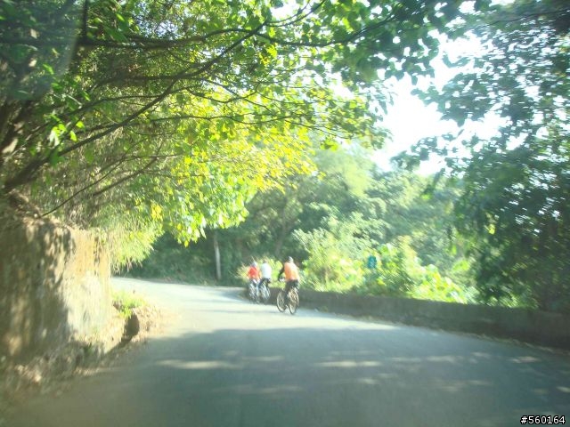 逍遙遊的1.) 挑戰路線探勘(照片多)--(第八屆)『2008八卦山脈 美利達盃&單車嘉年華』