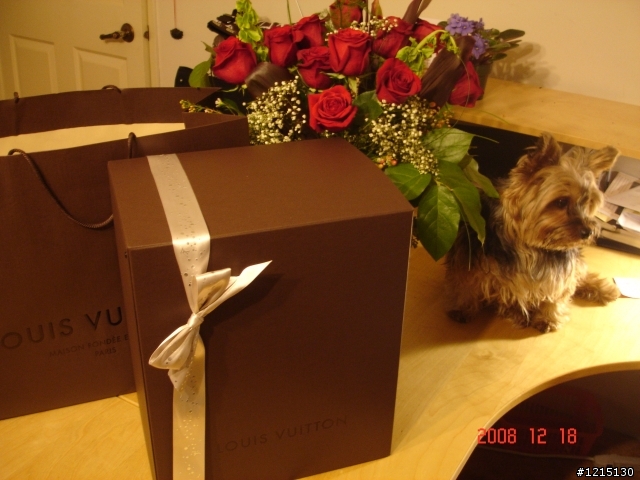 (開箱文) 聖誕禮物---Louis Vuitton 棋盤格 neverfull(中)