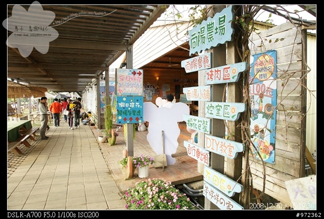 [柯基.長毛臘腸] 桃園觀音--花期已過的「向陽農場」