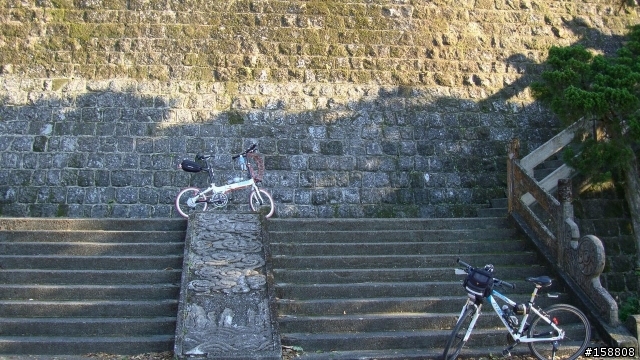 [DAHON開箱分享]"圖多"2009年款 DAHON Mu-P24(白)