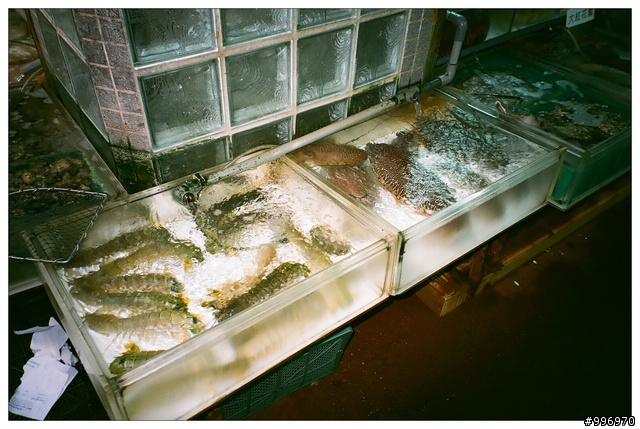 就是愛底片小相機! Minolta Riva Zoom 70w =w="