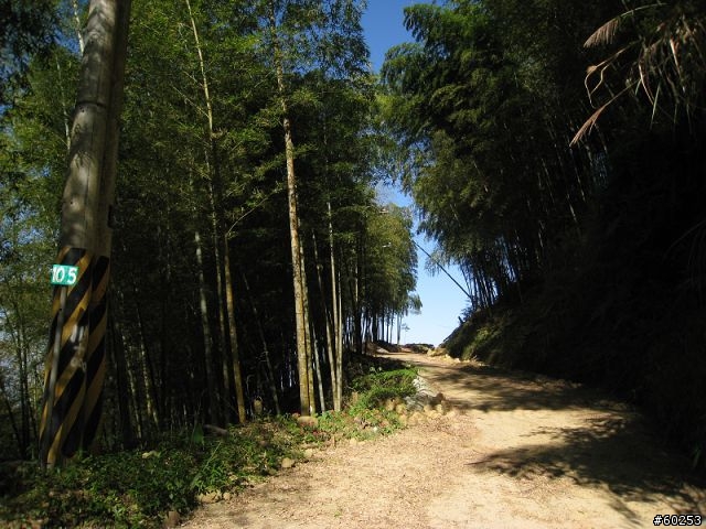 南投縣 鹿谷小半天→山豬湖產業道路→大崙山→羊彎→溪頭→鹿谷小半天
