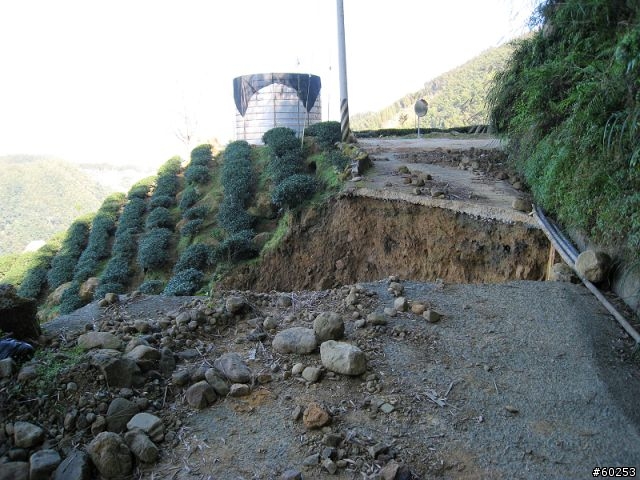 南投縣 鹿谷小半天→山豬湖產業道路→大崙山→羊彎→溪頭→鹿谷小半天