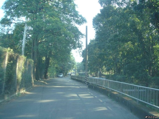 逍遙遊的1.) 挑戰路線探勘(照片多)--(第八屆)『2008八卦山脈 美利達盃&單車嘉年華』