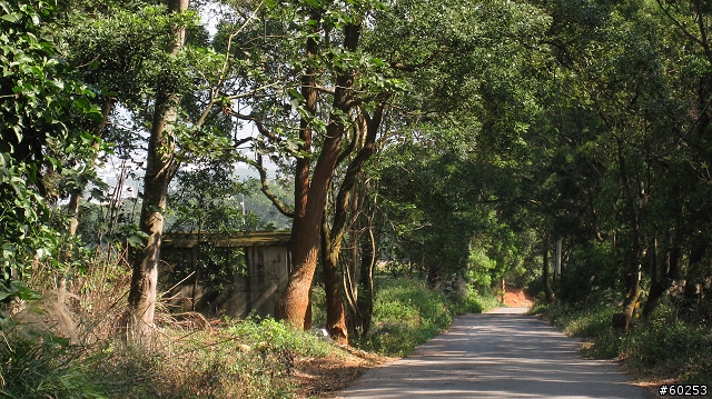 苗栗縣 銅鑼九湖自行車道