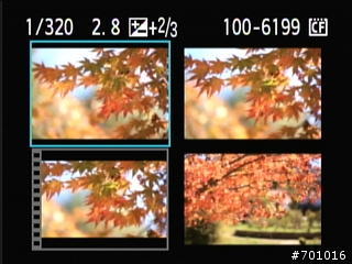 無敵兔第三篇 風景與棚拍人像
