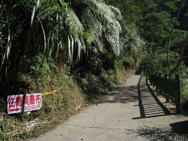 南投縣 鹿谷小半天→山豬湖產業道路→大崙山→羊彎→溪頭→鹿谷小半天