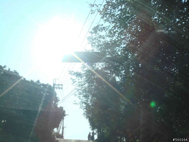 逍遙遊的1.) 挑戰路線探勘(照片多)--(第八屆)『2008八卦山脈 美利達盃&單車嘉年華』