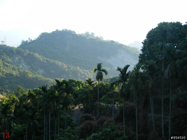 霧峰鄉山林縱騎-桐林-南坑-峰谷-九九峰-象鼻坑