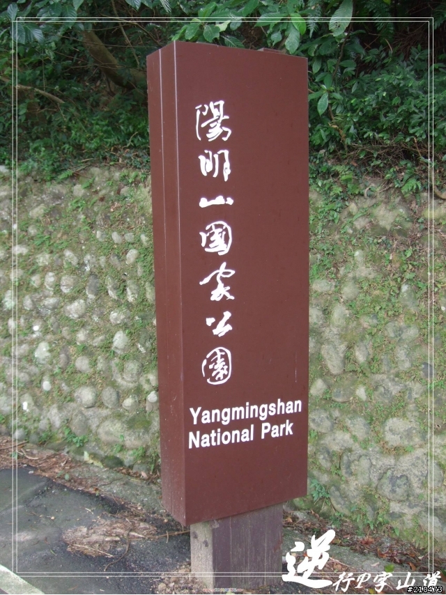 081227 逆行陽金P字山道