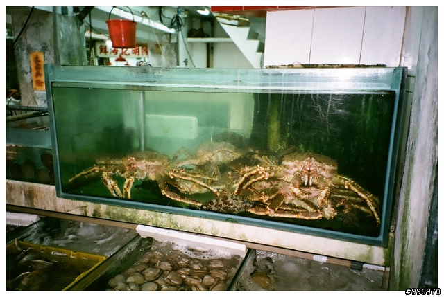 就是愛底片小相機! Minolta Riva Zoom 70w =w="