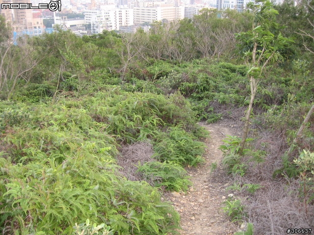 軍艦岩、丹鳳山新路線 (未探勘完成，待續)