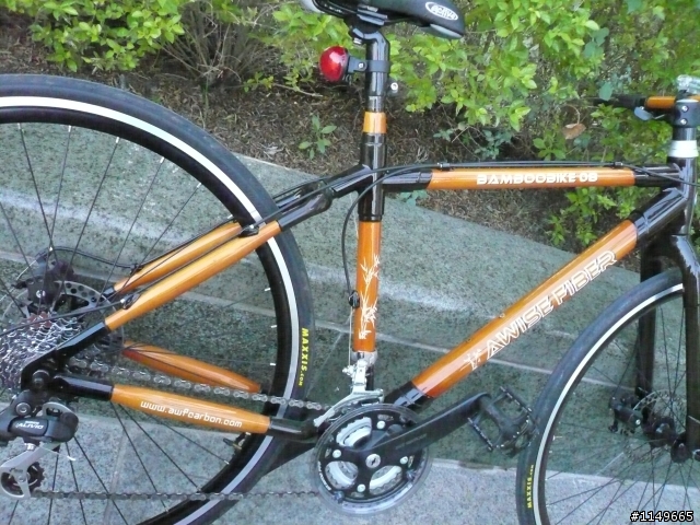 夢時代醫師公會出現概念車~竹子車架~