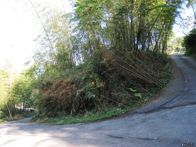 南投縣 鹿谷小半天→山豬湖產業道路→大崙山→羊彎→溪頭→鹿谷小半天