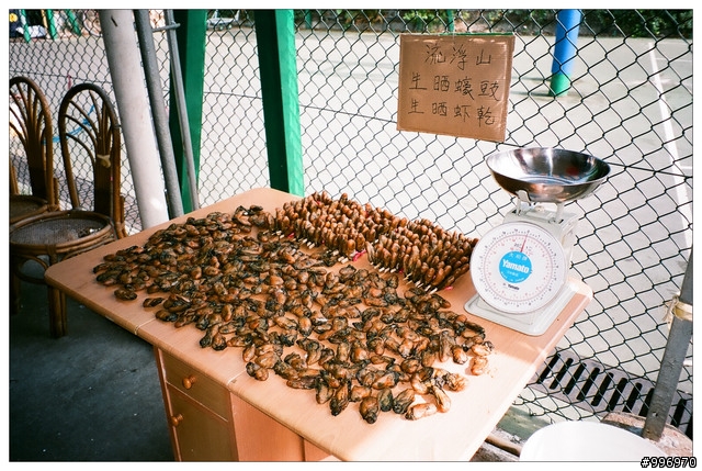 就是愛底片小相機! Minolta Riva Zoom 70w =w="