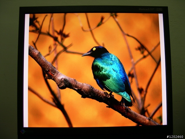 [開箱文]VIEWSONIC VX2433WM 24吋 FULL HD LCD 開箱!
